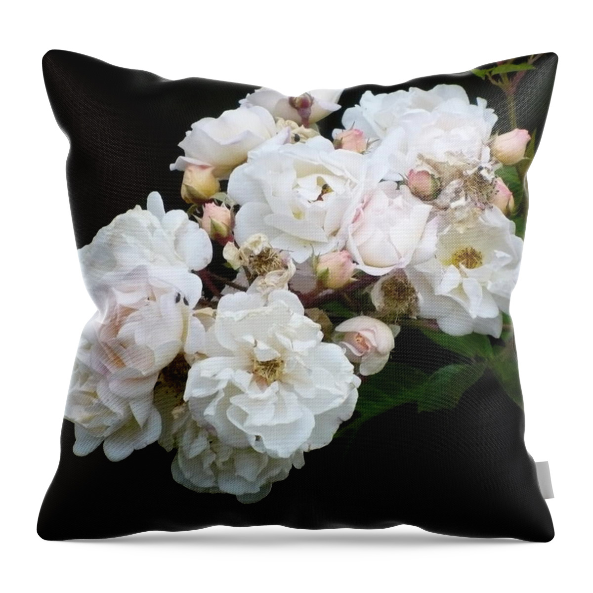 Roses Throw Pillow featuring the photograph Rose Branch by Nicki Bennett
