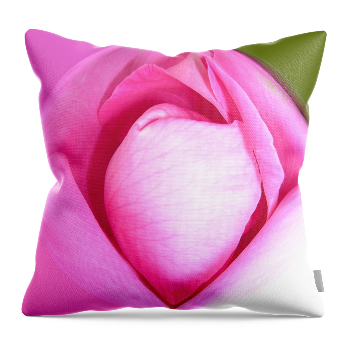 Floral Throw Pillow featuring the photograph Rose1 by Mark Gilman