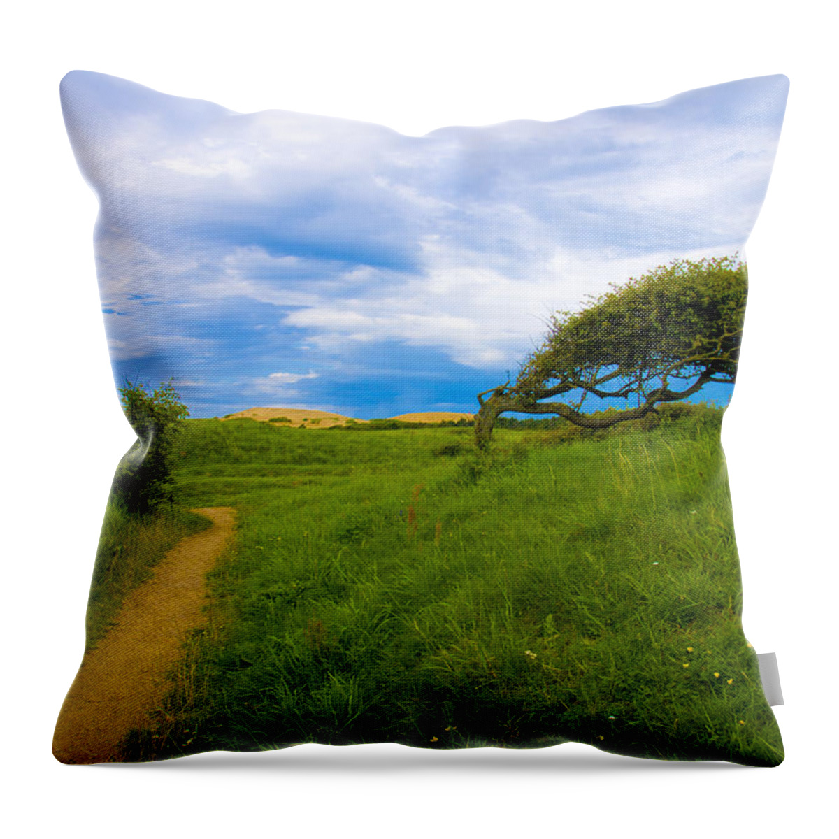 Landscape Throw Pillow featuring the photograph Rubjerg path by Mike Santis
