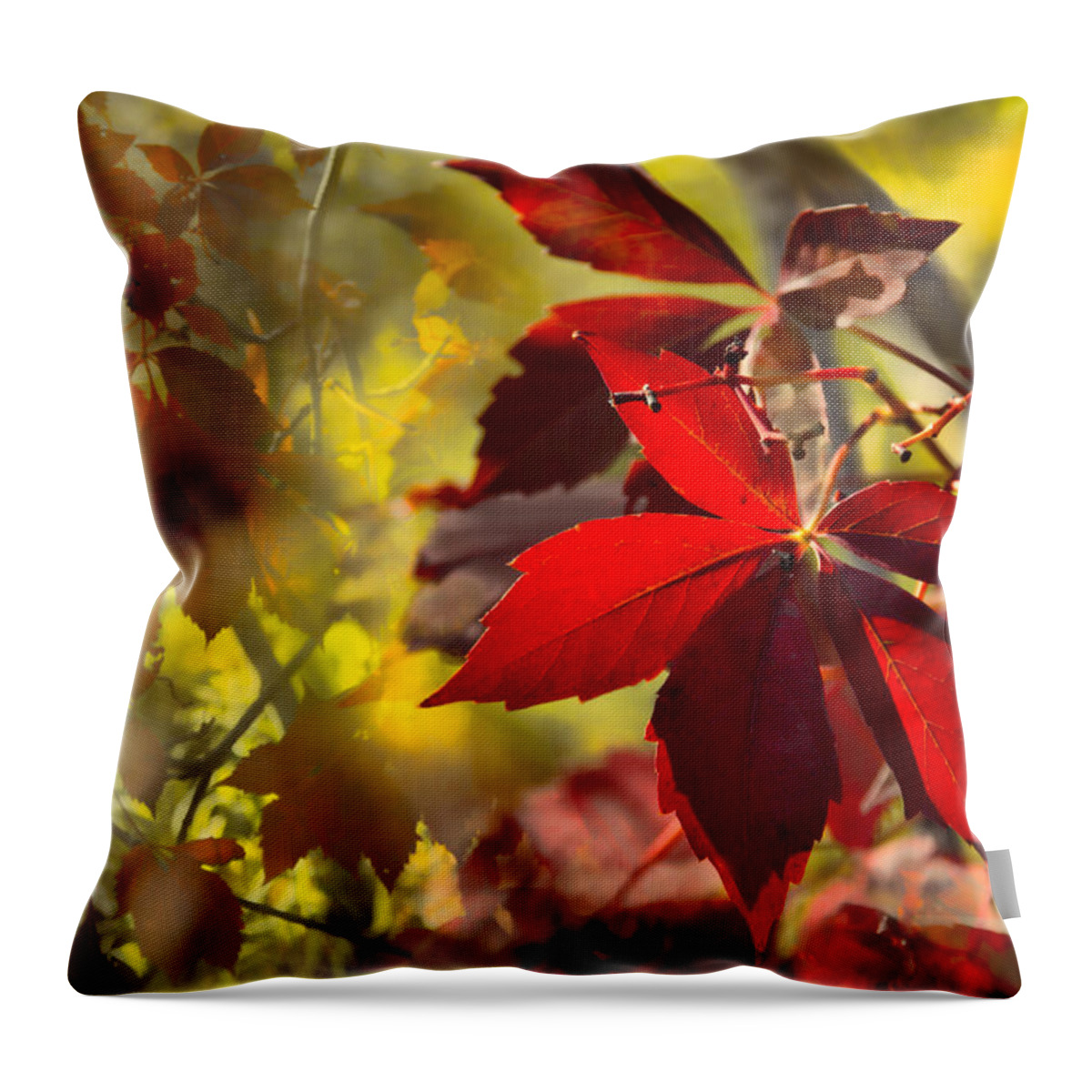 Fall Throw Pillow featuring the photograph Ruby Jewels by Marilyn Cornwell