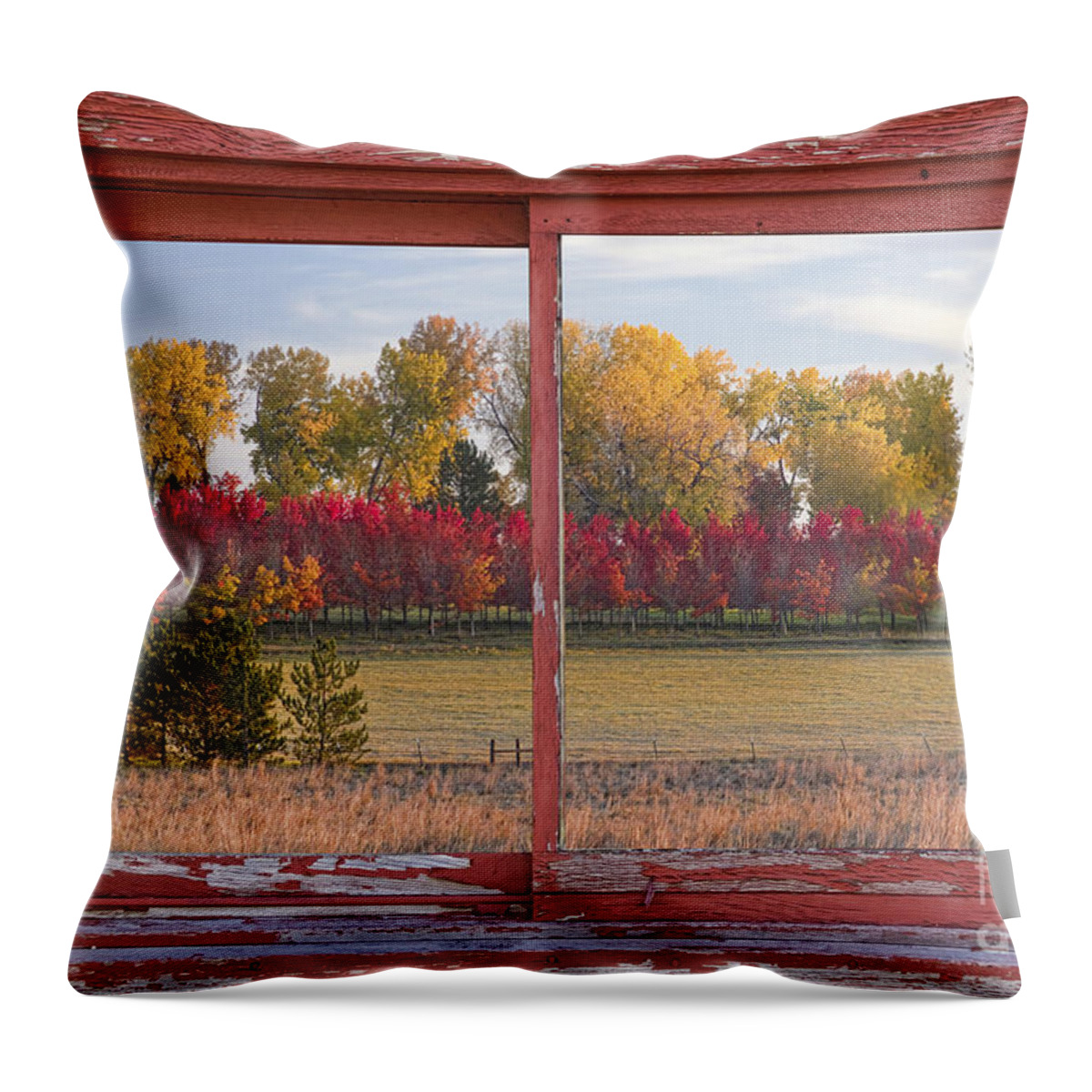 Picture Throw Pillow featuring the photograph Rural Country Autumn Scenic Window View by James BO Insogna