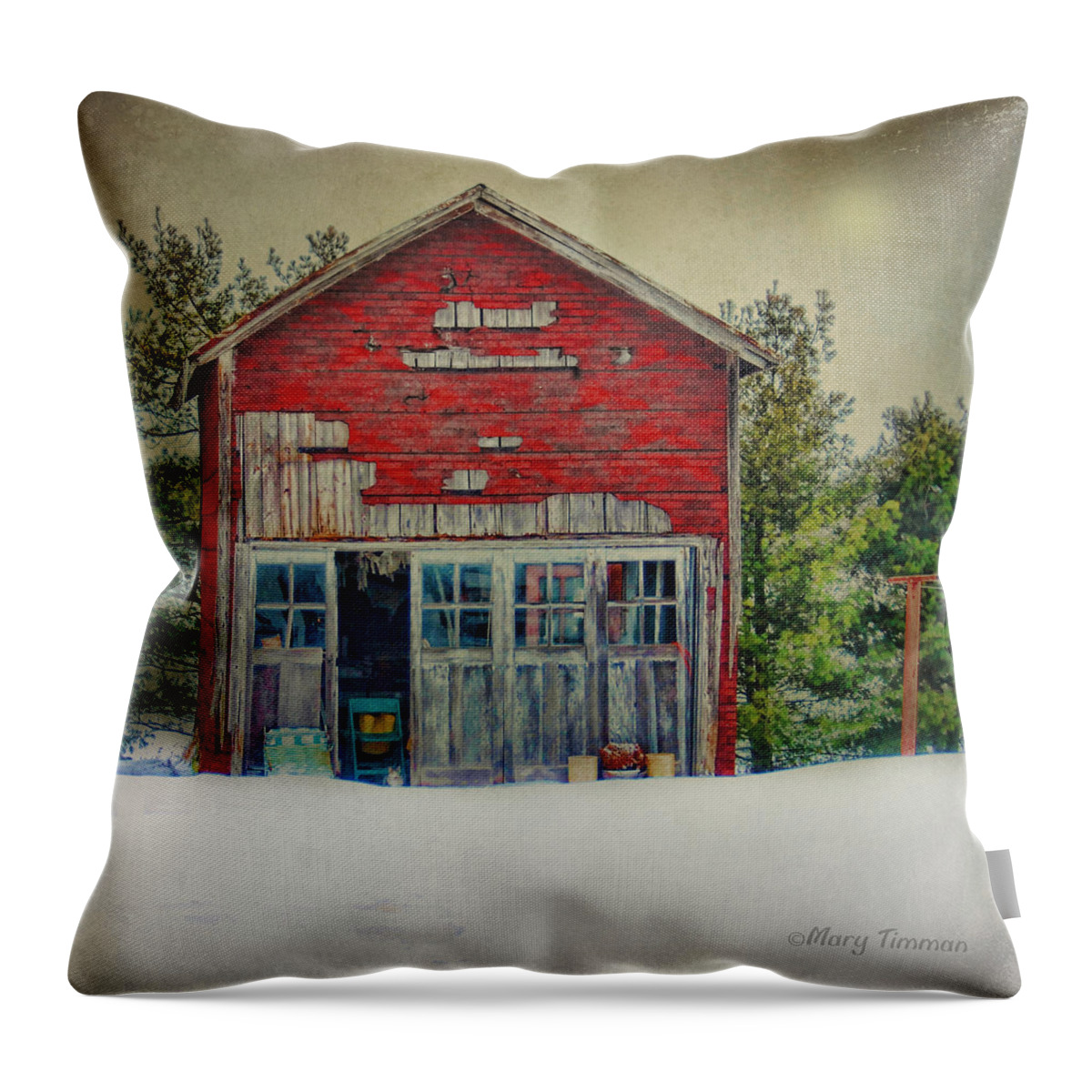 Shed Throw Pillow featuring the photograph Rustic Shed by Mary Timman