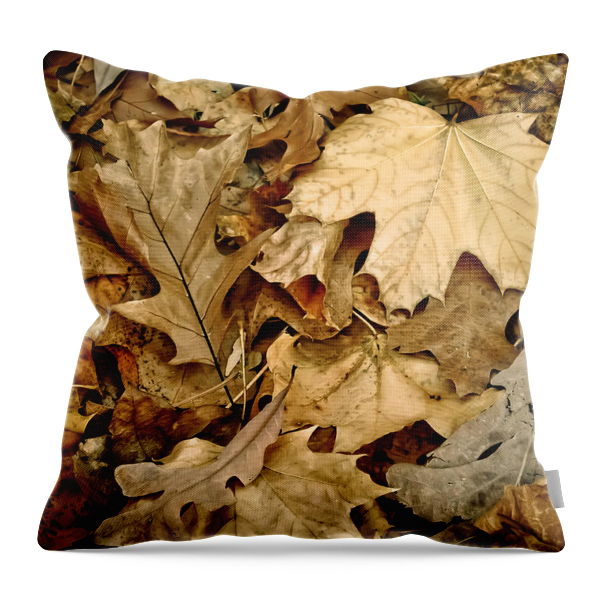 Leaf Throw Pillow featuring the photograph Rustle by Trish Tritz
