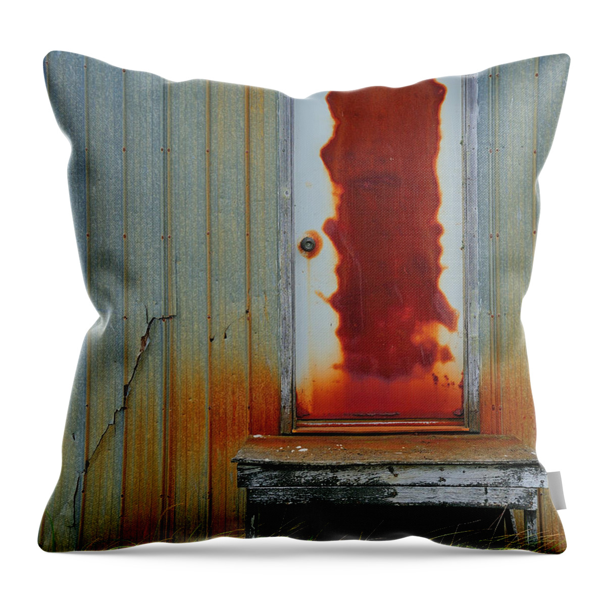Rust Throw Pillow featuring the photograph Rusty Door by Tony Beck