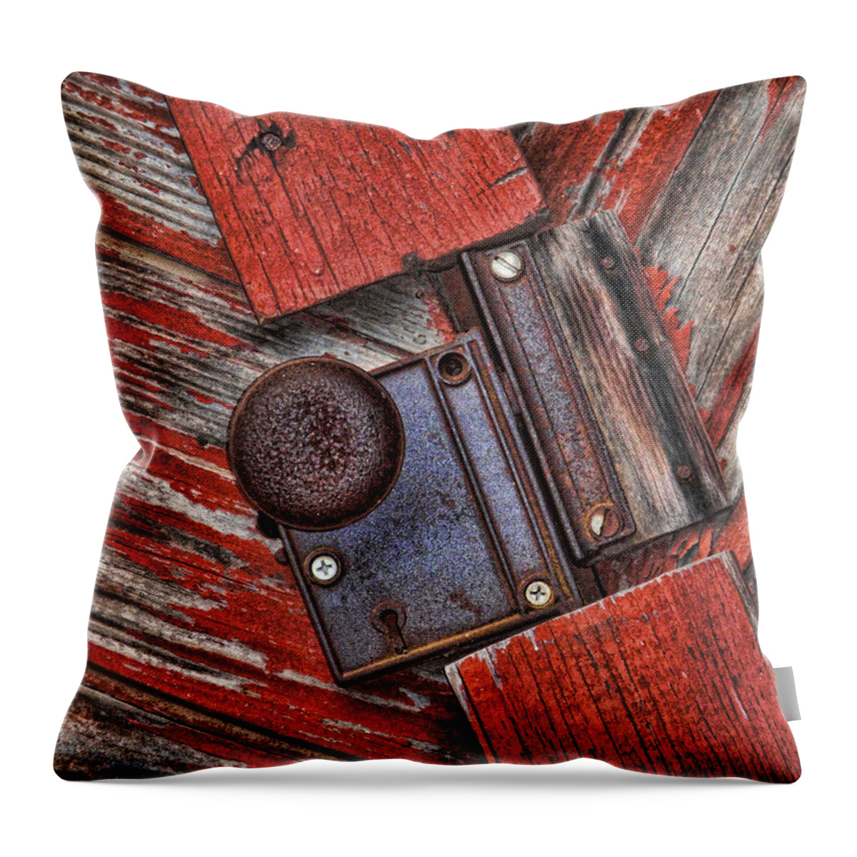 Rusty Throw Pillow featuring the photograph Rusty Dusty and Musty by Kathy Clark