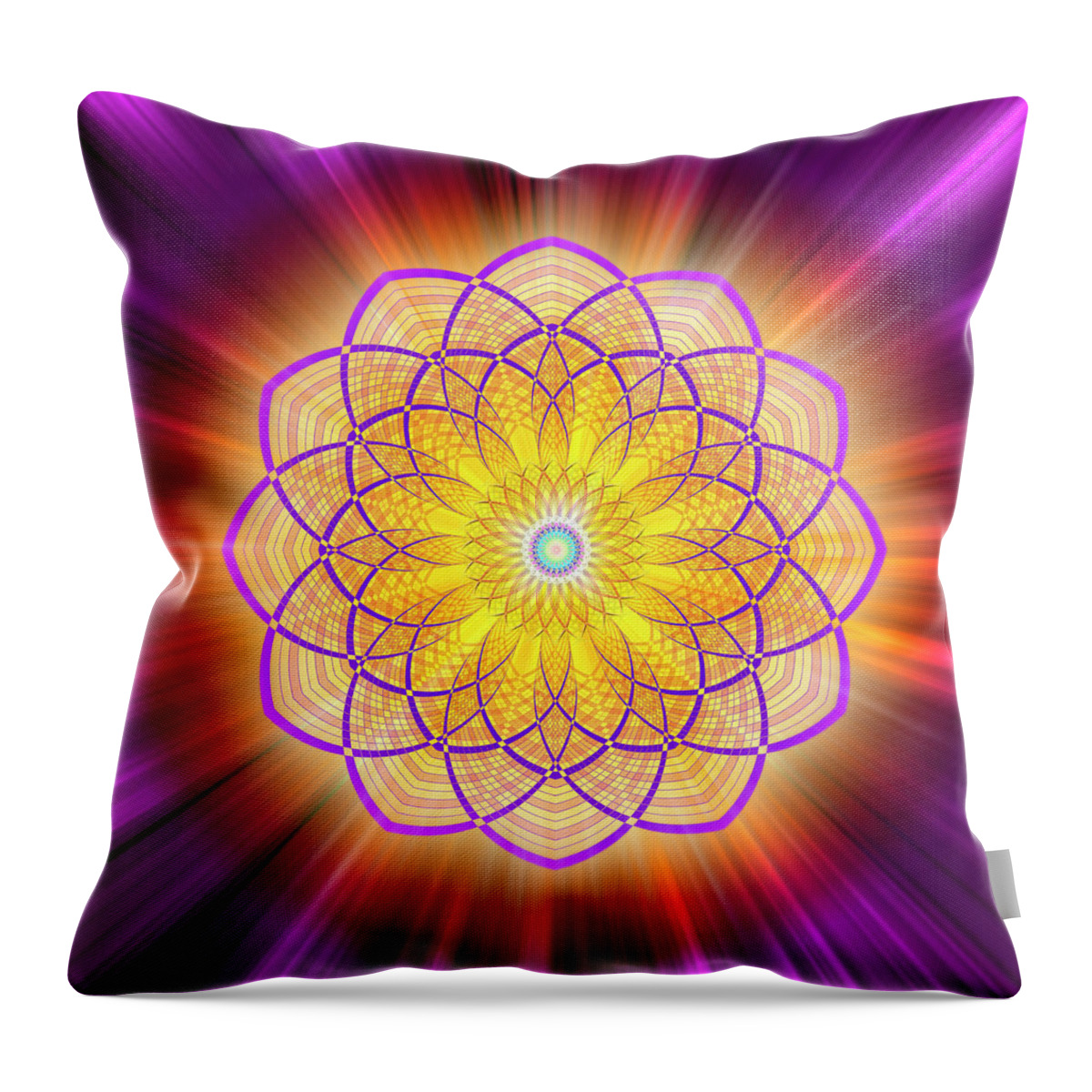 Endre Throw Pillow featuring the photograph Sacred Geometry 110 by Endre Balogh
