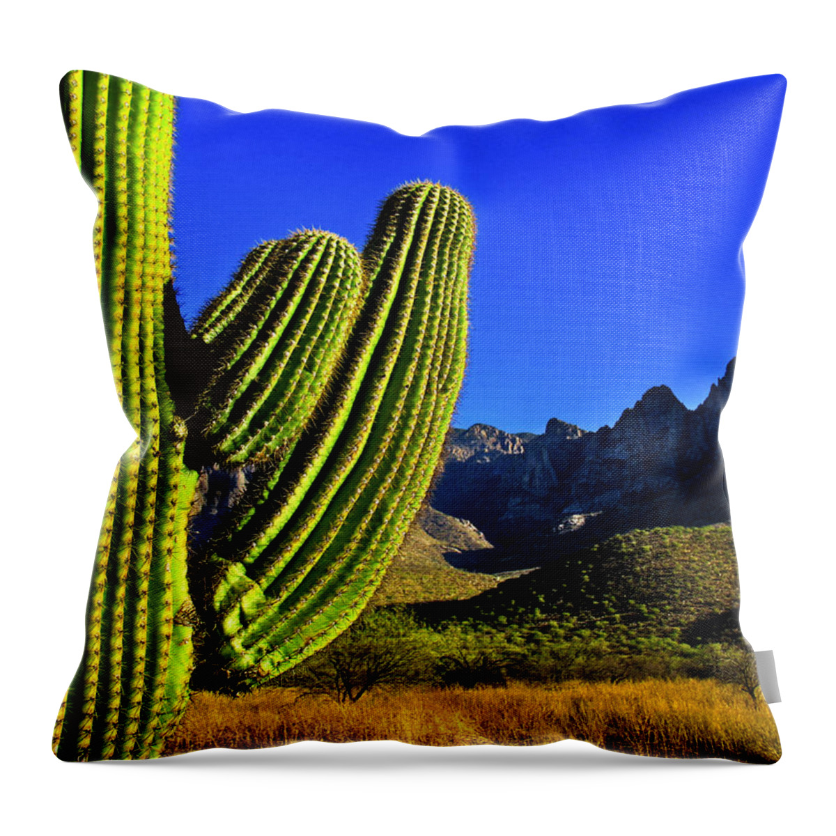 Cactus Throw Pillow featuring the photograph Saguaro and Catalina Mountains by Jim Moore