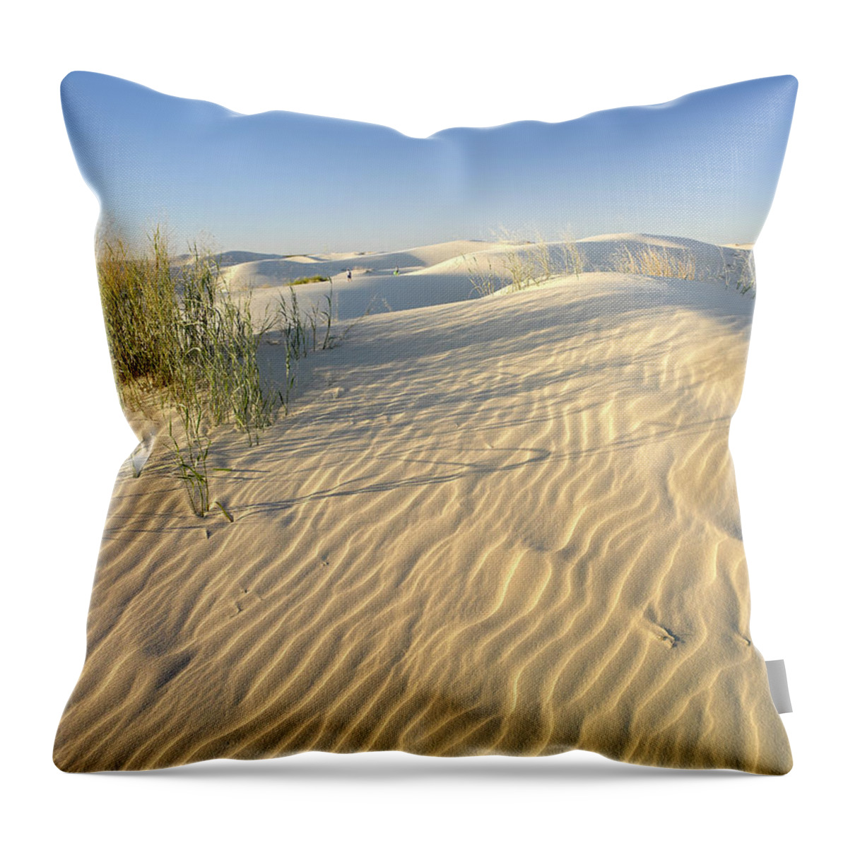 00176879 Throw Pillow featuring the photograph Sand Dunes Monahans Sandhills State by Tim Fitzharris