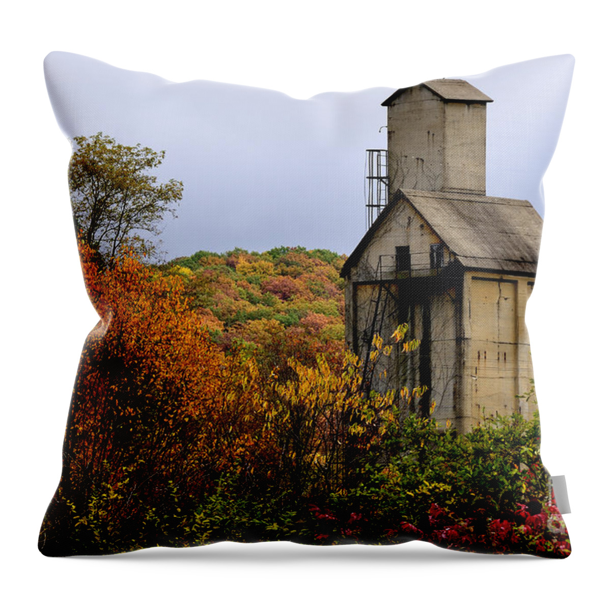 Sand House Throw Pillow featuring the photograph Sand House Abandoned Train Yard by Thomas R Fletcher