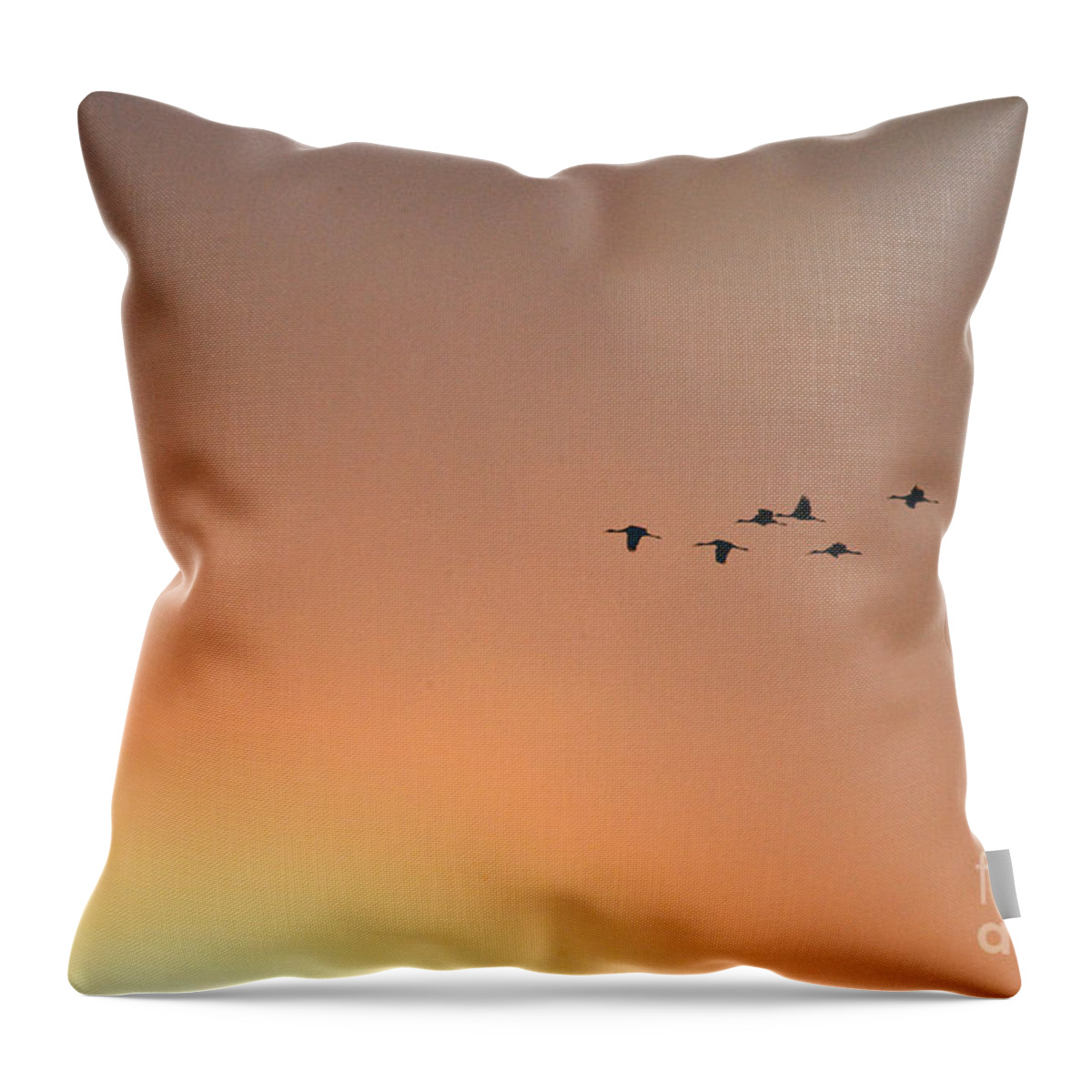 Crane Throw Pillow featuring the photograph Sandhill Cranes to The Sun by David Arment