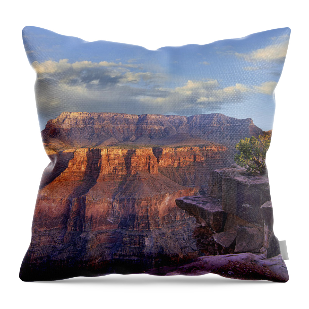 00176721 Throw Pillow featuring the photograph Sandstone Cliffs And Canyon Seen by Tim Fitzharris