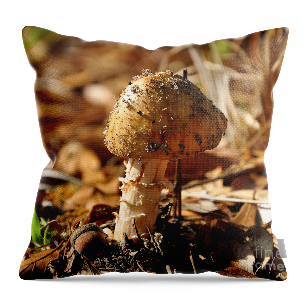 Mushroom Throw Pillow featuring the photograph Sandy Shroom by Al Powell Photography USA