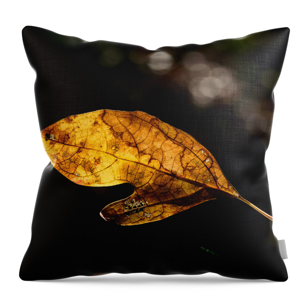 Sassafras Throw Pillow featuring the photograph Sassafras Leaf Illuminated 1 by Douglas Barnett