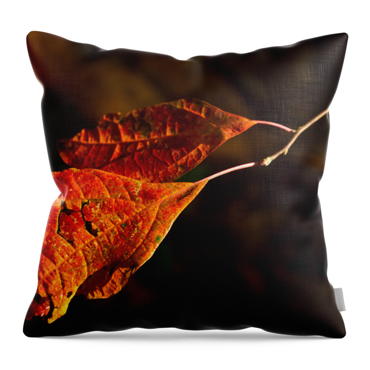 Sassafras Throw Pillow featuring the photograph Sassafras Leaves in With Fall Colors by Douglas Barnett