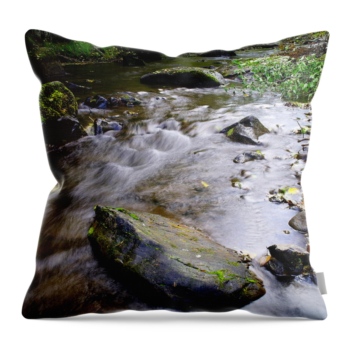 Creeks Throw Pillow featuring the photograph Satus Creek In Autumn by Jeff Swan