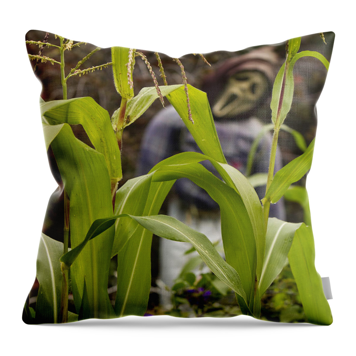 Corn Throw Pillow featuring the photograph Scarecrow in the Corn Vertical image by James BO Insogna