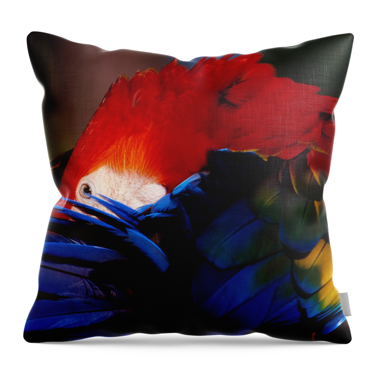Scarlet Throw Pillow featuring the photograph Scarlet Macaw by Bradford Martin