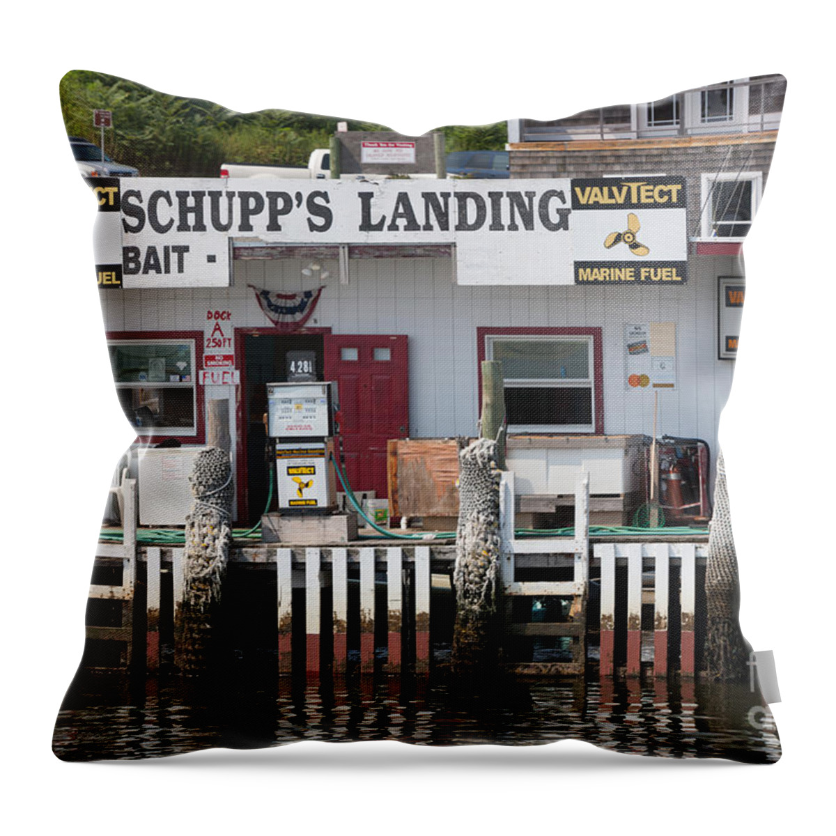 Clarence Holmes Throw Pillow featuring the photograph Schupp's Landing I by Clarence Holmes
