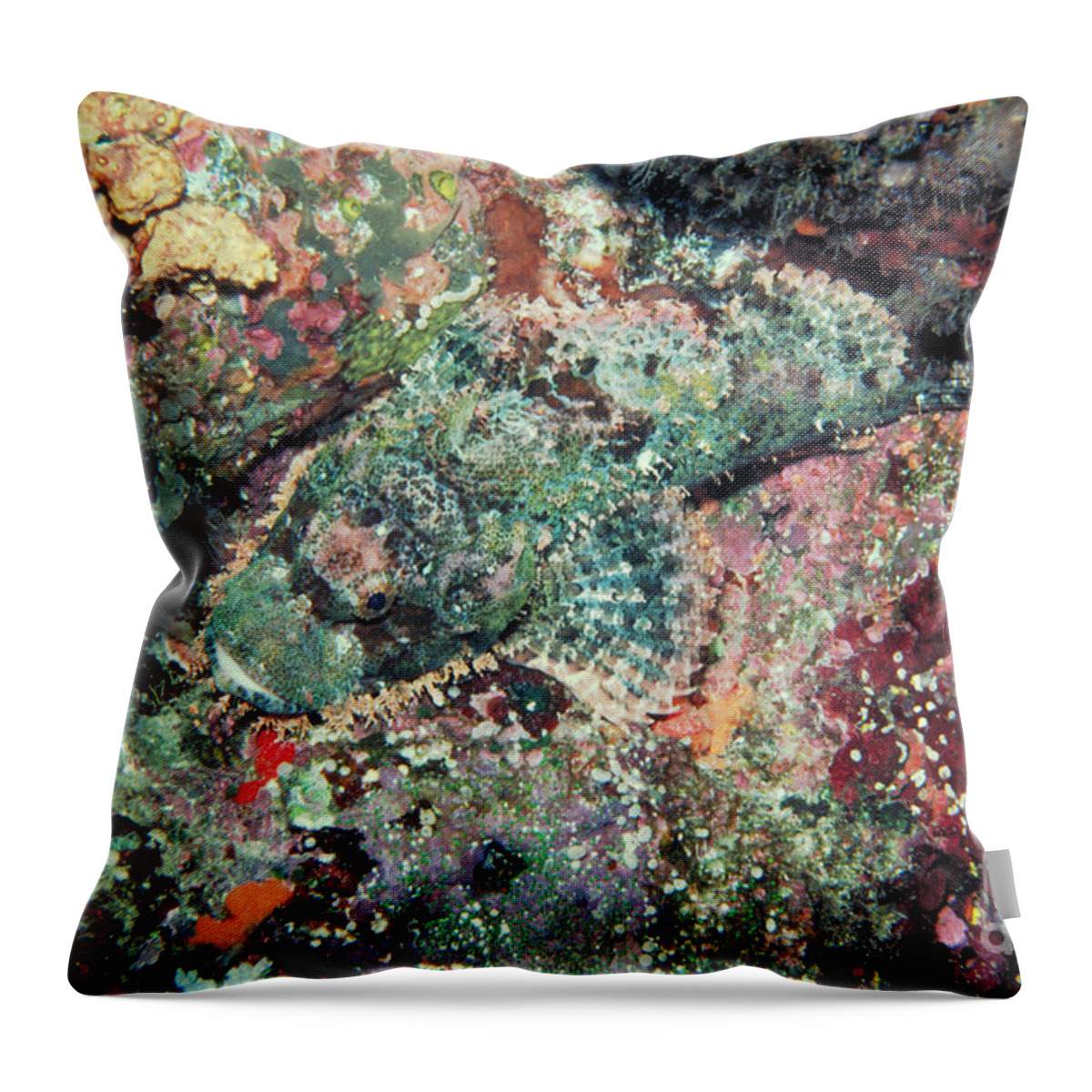 Scorpionfish Throw Pillow featuring the photograph Scorpionfish by Gregory G. Dimijian