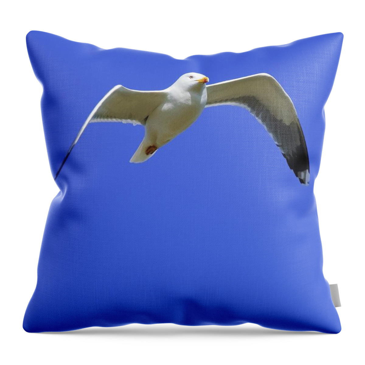 1 Animal Only Throw Pillow featuring the photograph Seagull In Flight by Ben Welsh