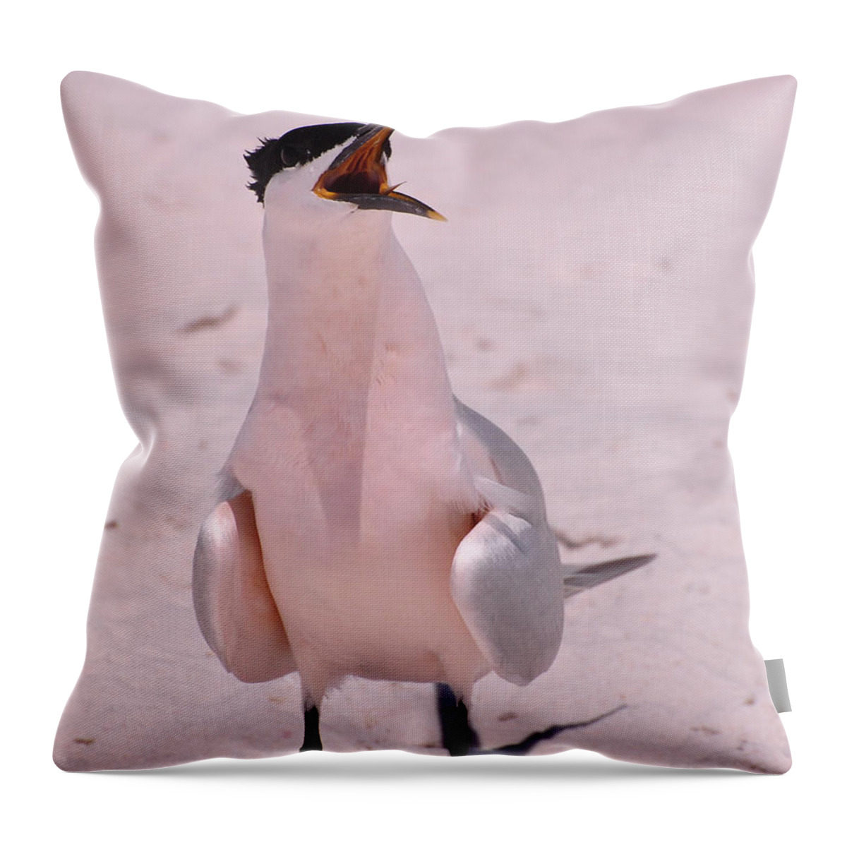 Seagull Throw Pillow featuring the photograph Seagull Laugh by Susan Cliett