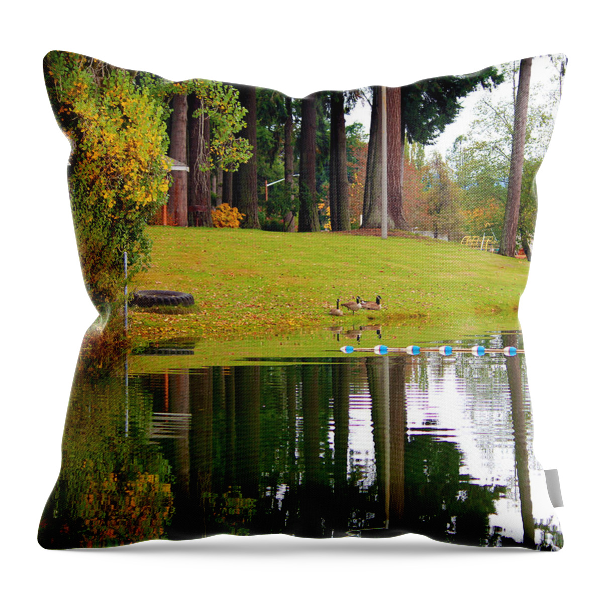 Lake Throw Pillow featuring the photograph Serene Scott Lake by Jeanette C Landstrom