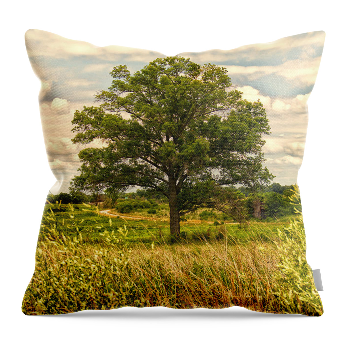 Tree Throw Pillow featuring the photograph Serenity by Linda Tiepelman