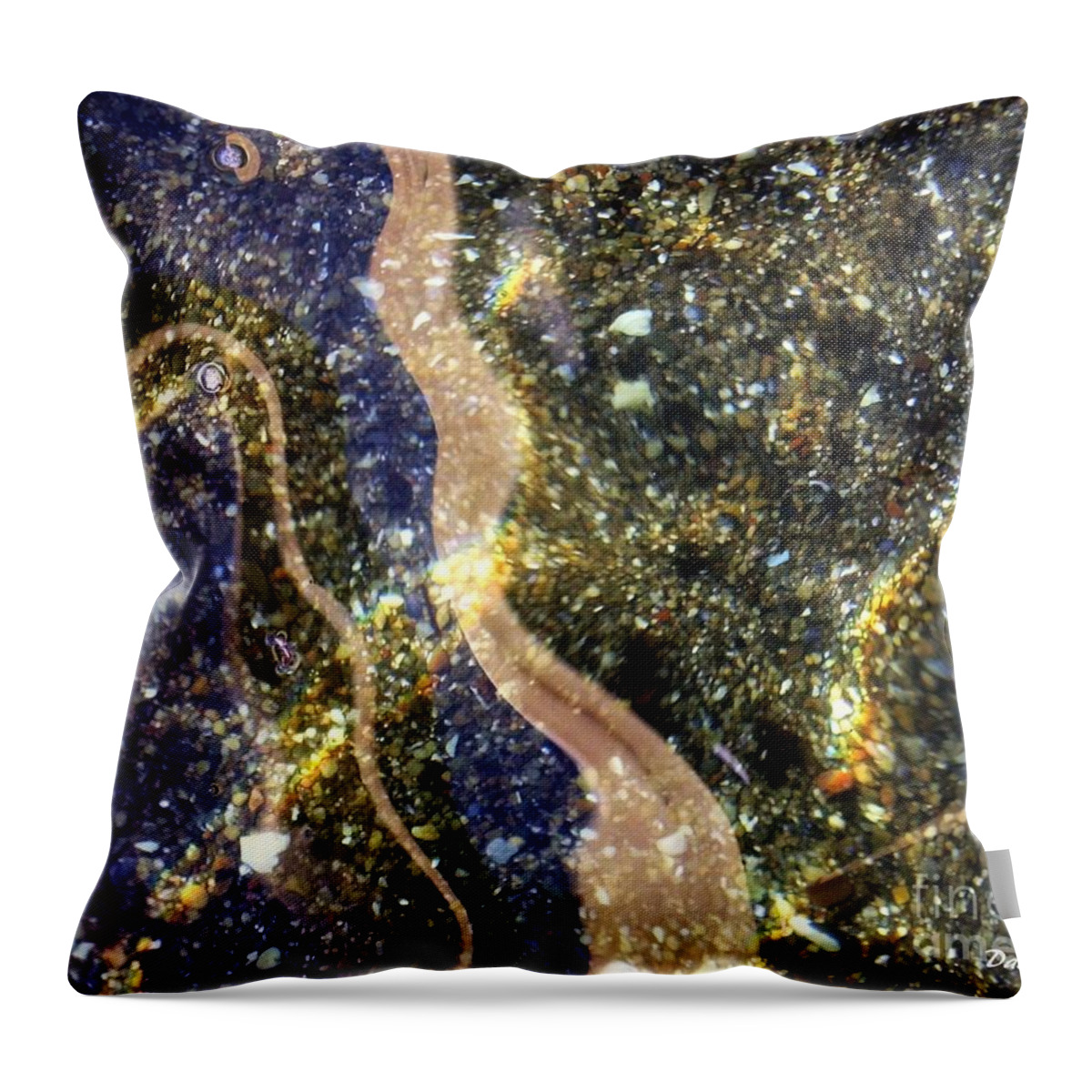 Water Throw Pillow featuring the digital art Shallow Water by Dale  Ford