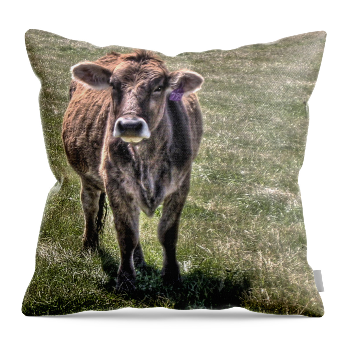 She Is A Spokesperson For Her Tribe Throw Pillow featuring the photograph She is a Spokesperson for Her Tribe by William Fields