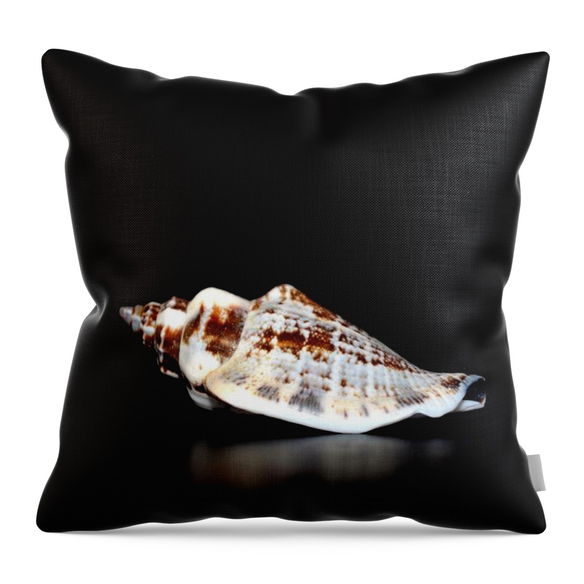 Shell On Leather 2 Throw Pillow featuring the photograph Shell on Leather 2 by Maria Urso