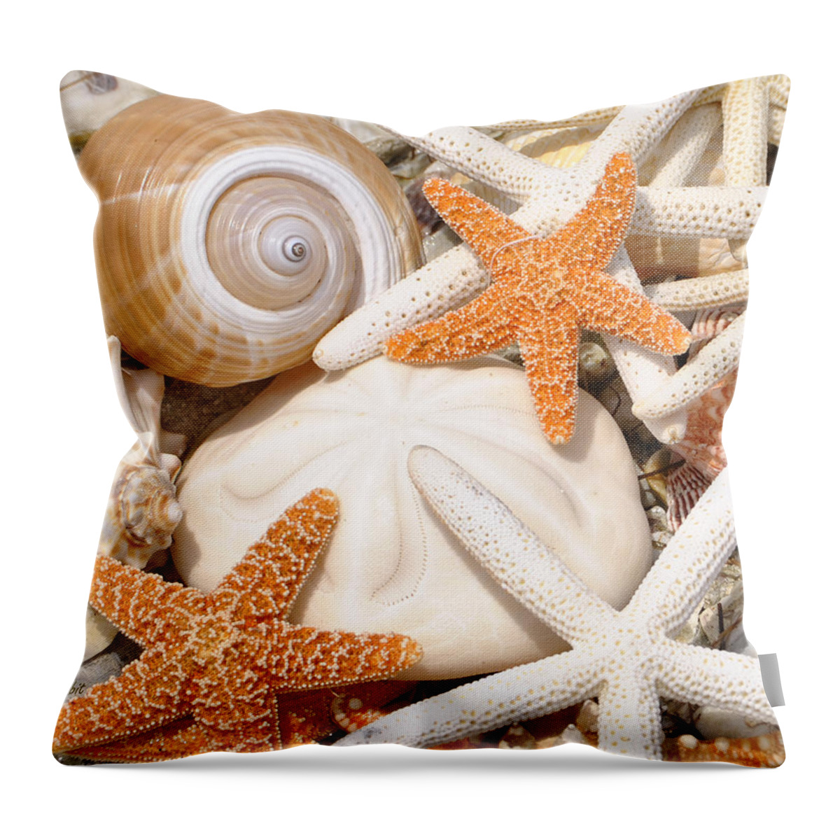 Sea Shells Throw Pillow featuring the photograph Shellebration by Maria Nesbit