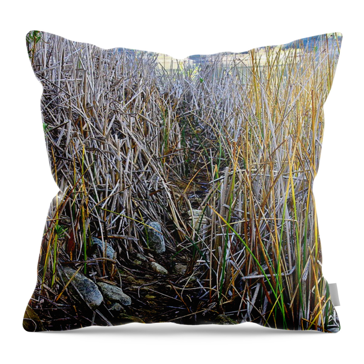 Lake Throw Pillow featuring the photograph Shoreline Path by Diana Hatcher