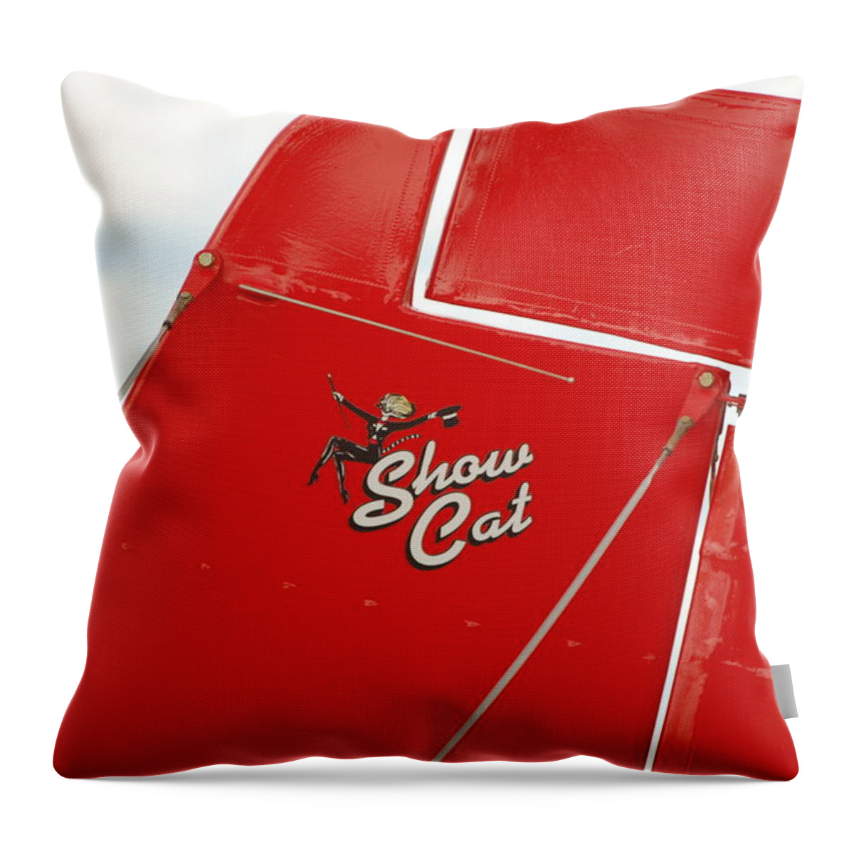 Show Cat Throw Pillow featuring the photograph Show Cat by Randy J Heath