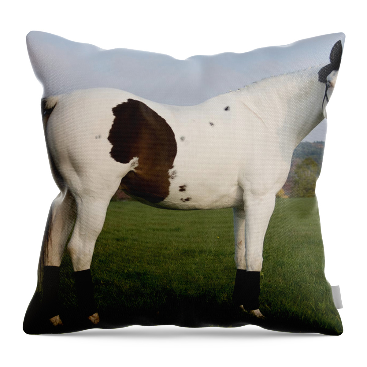 Eyes Throw Pillow featuring the photograph Side View by Ralf Kaiser