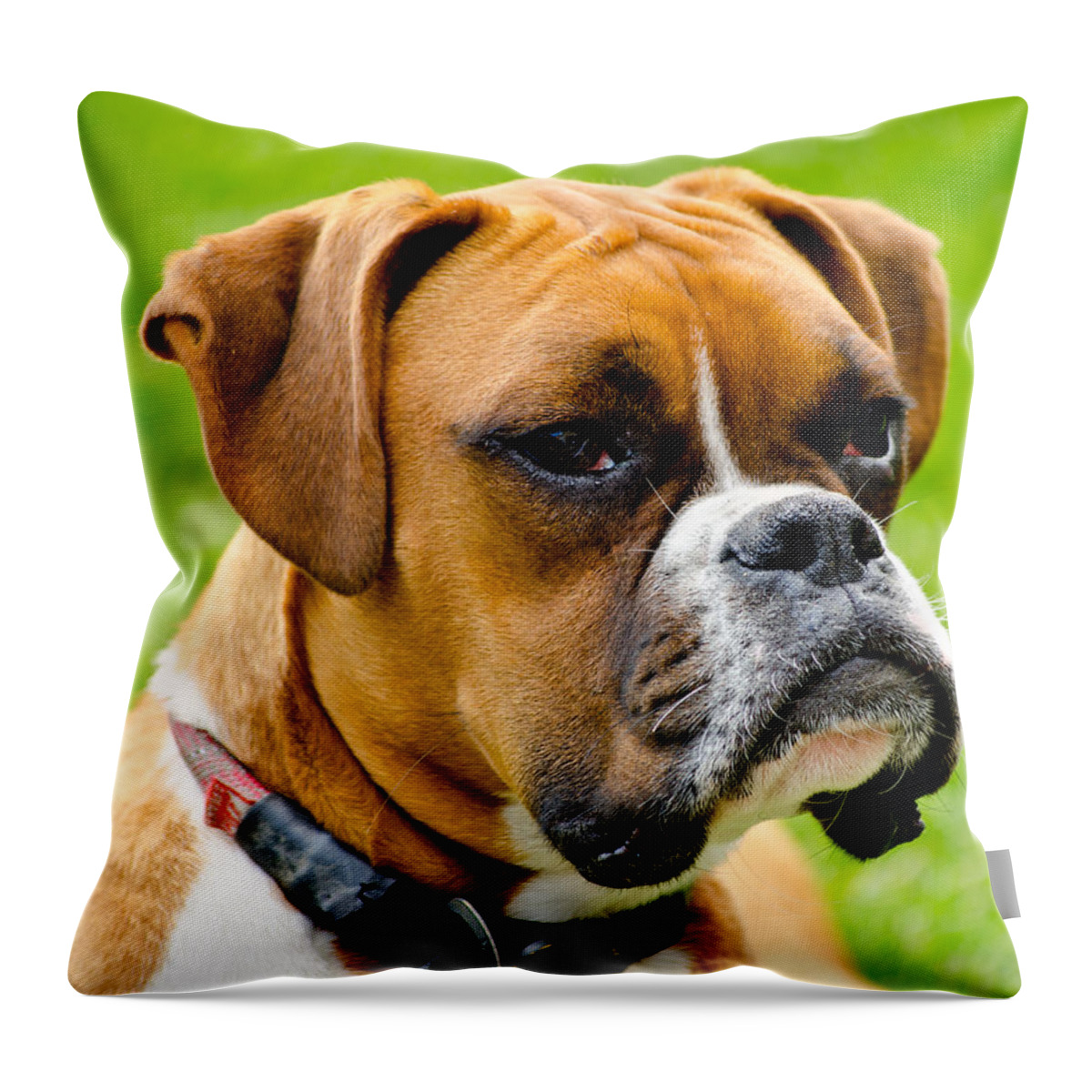 Boxer Dog Throw Pillow featuring the photograph Sidney The Boxer by Chris Thaxter