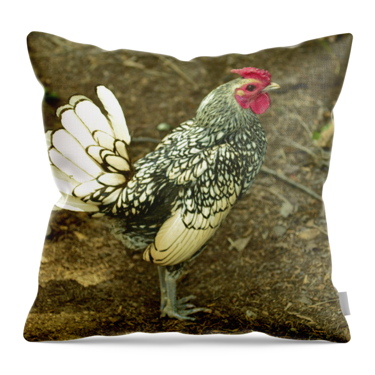Rooster Throw Pillow featuring the photograph Silver Seabright Rooster by Donna Brown