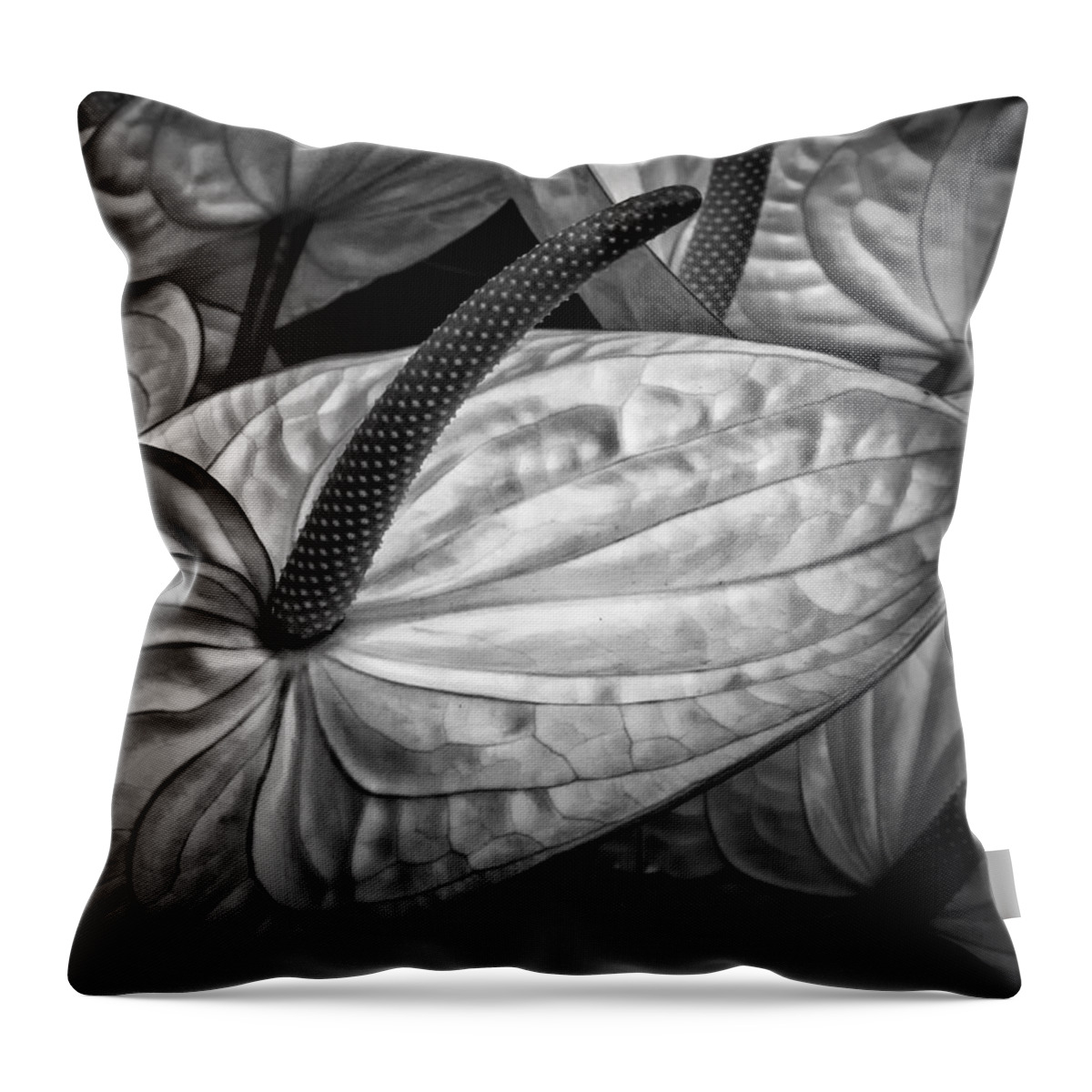 Anthurium Throw Pillow featuring the photograph Silvery sheen by Shirley Mitchell