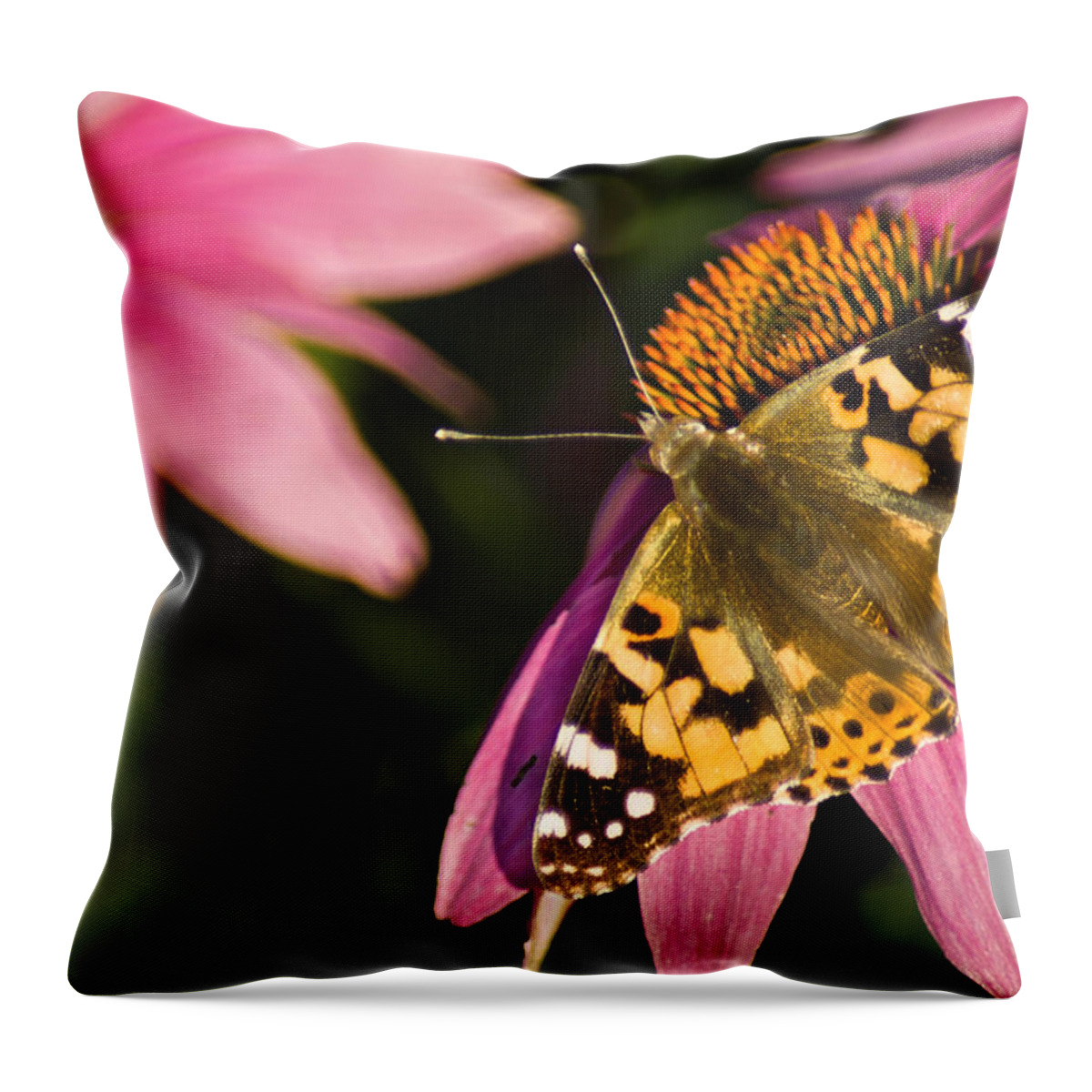 Butterfly Throw Pillow featuring the photograph Simple Butterfly by Bill Pevlor