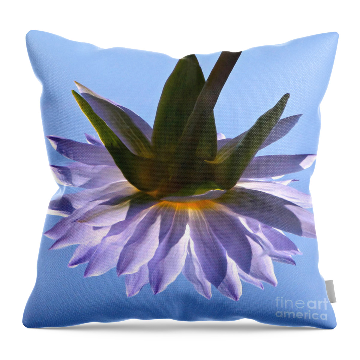 Tropical Waterlily Throw Pillow featuring the photograph Simple Reflection by Byron Varvarigos