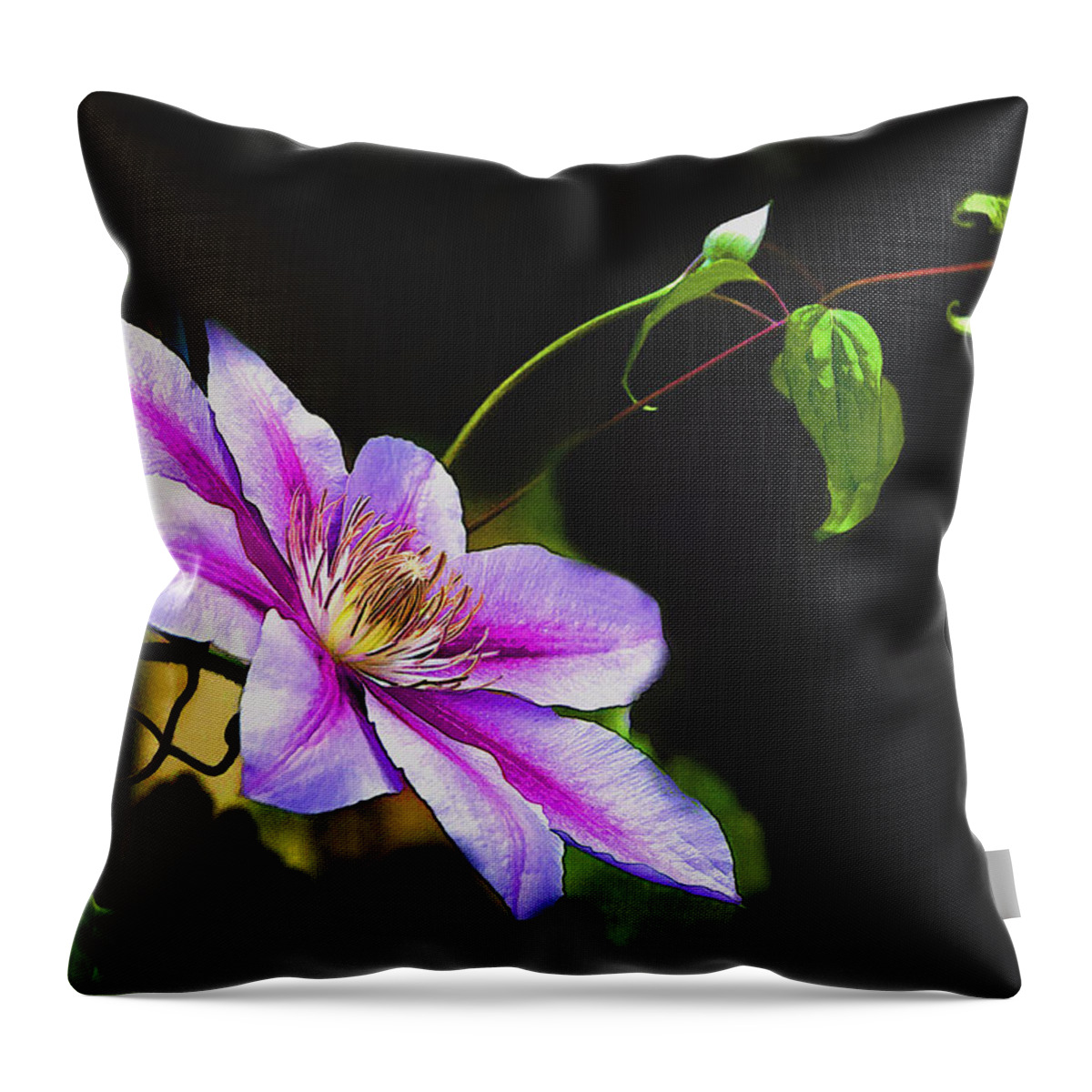Climatis Throw Pillow featuring the photograph Single Climatis by Bonnie Willis