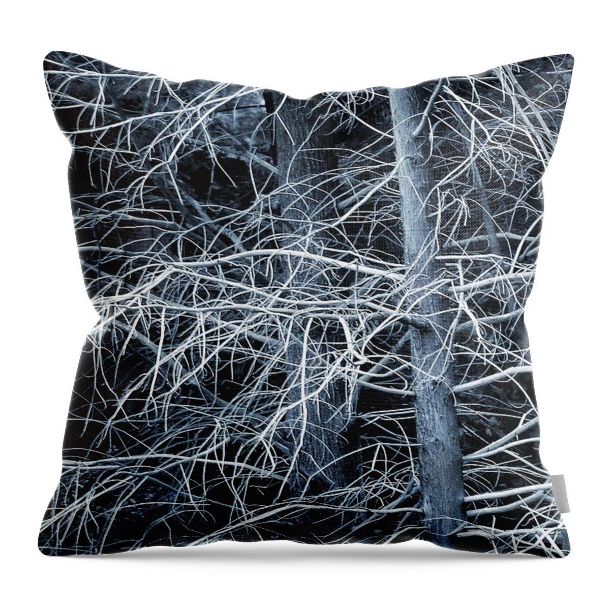 Cypress Throw Pillow featuring the photograph Skeleton Tree by Judi Bagwell