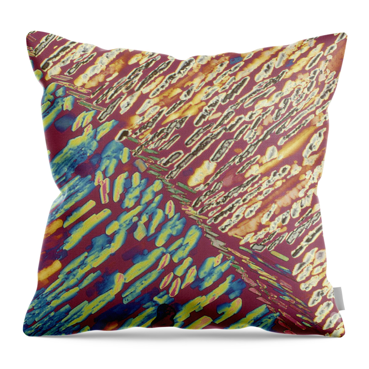 Science Throw Pillow featuring the photograph Slate Lm by Michael W. Davidson