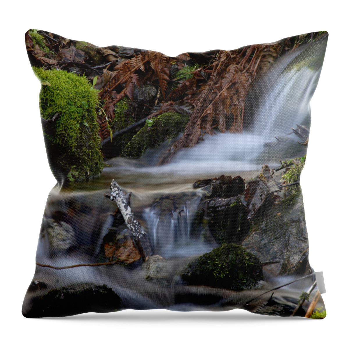 Doug Lloyd Throw Pillow featuring the photograph Slow Water by Doug Lloyd