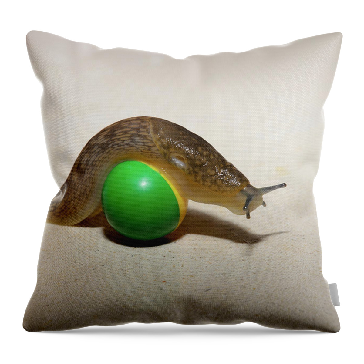 Ball Throw Pillow featuring the photograph Slug on the ball by Michael Goyberg