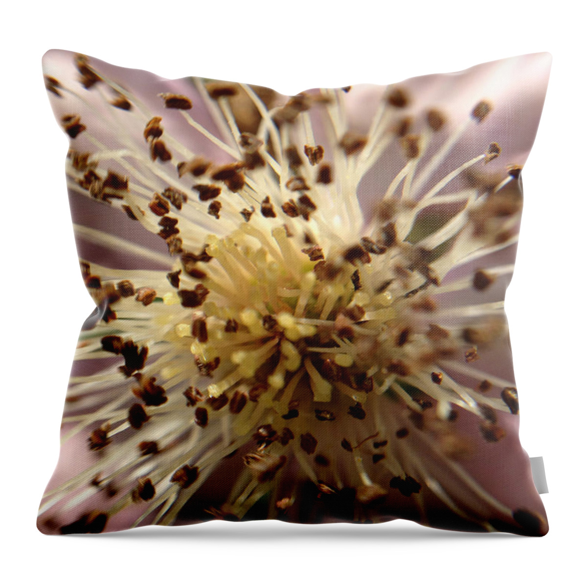 Macro Throw Pillow featuring the photograph Small Seeds by Chriss Pagani