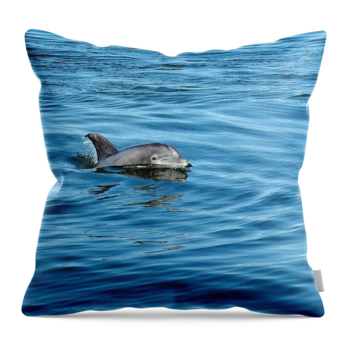 Landscape Throw Pillow featuring the photograph Smile by Sami Martin