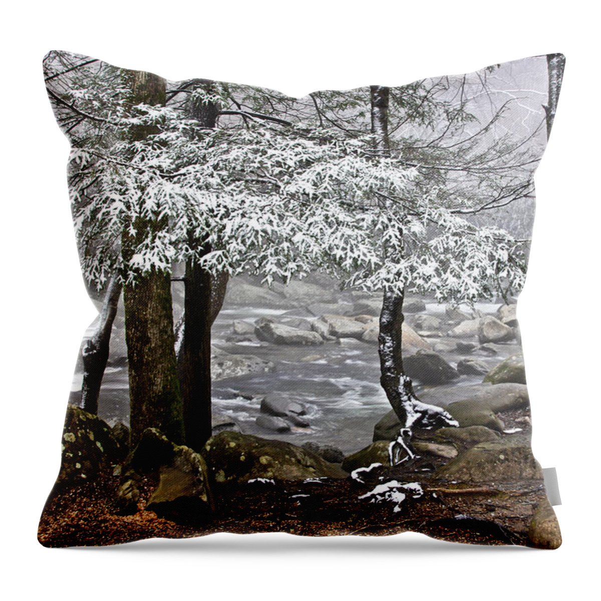 Landscape Throw Pillow featuring the photograph Smoky Mountain Stream by Tom and Pat Cory