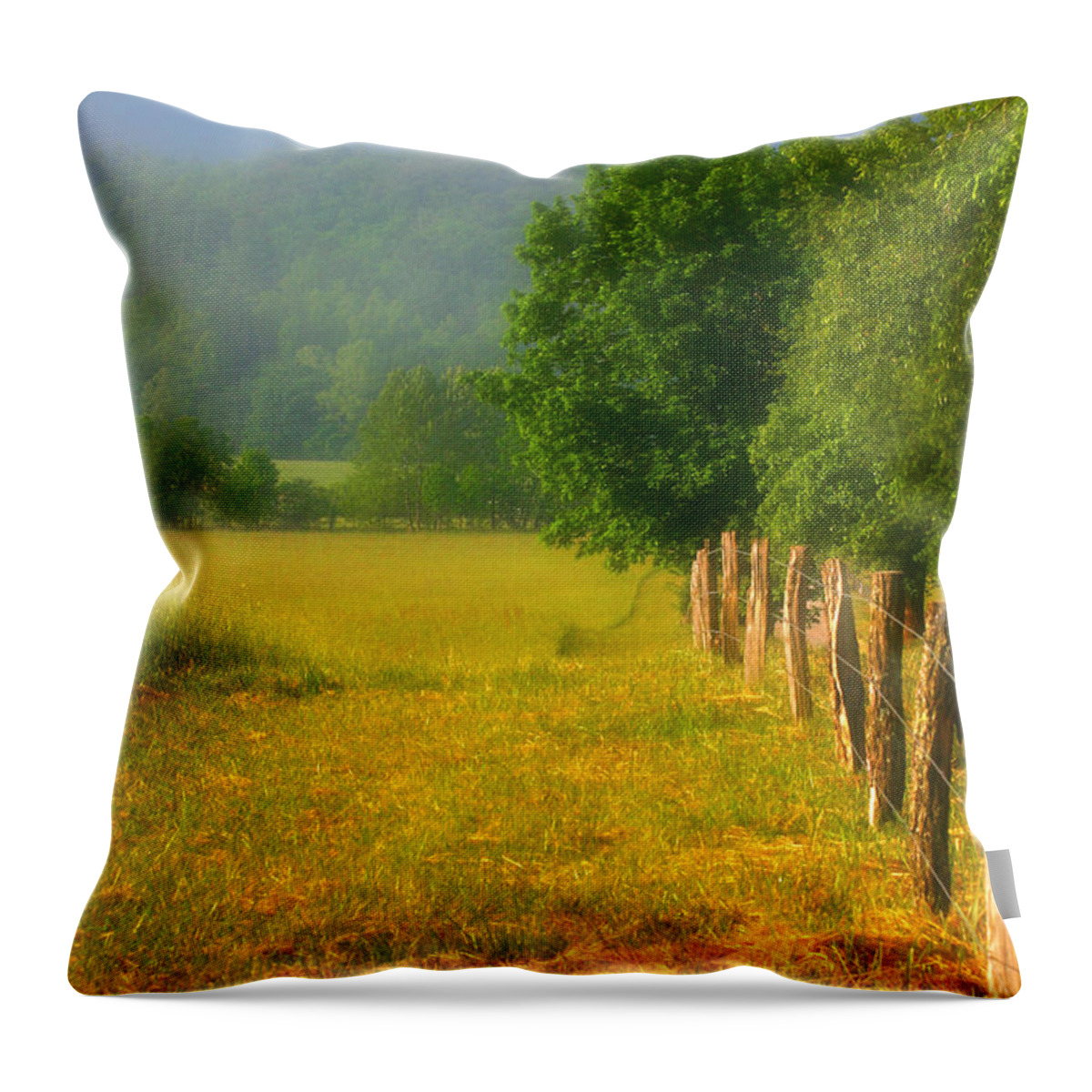 Country Throw Pillow featuring the photograph Smoky Mountains Cades Cove by Cindy Haggerty