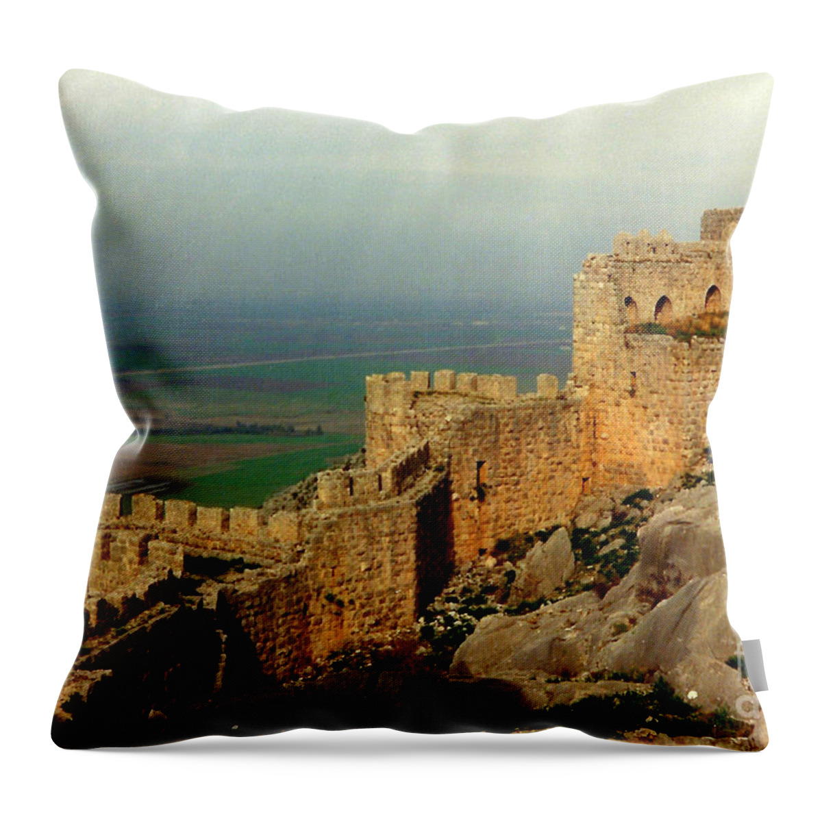  Throw Pillow featuring the photograph Snake Castle by Lou Ann Bagnall