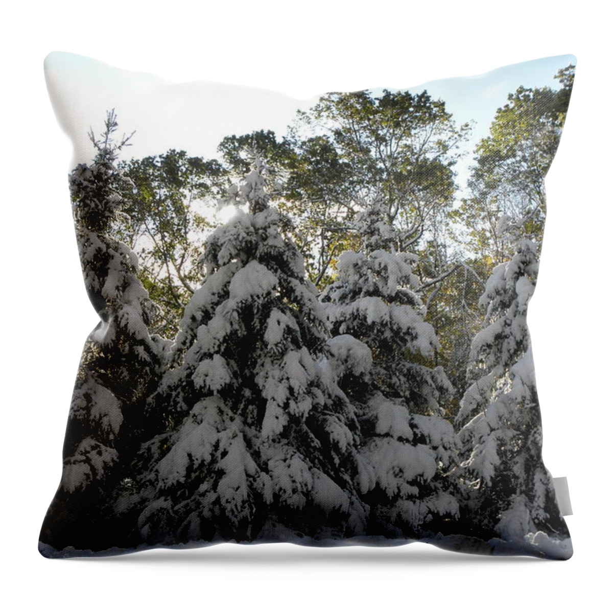 Snow Throw Pillow featuring the photograph Snow Bound by Kim Galluzzo